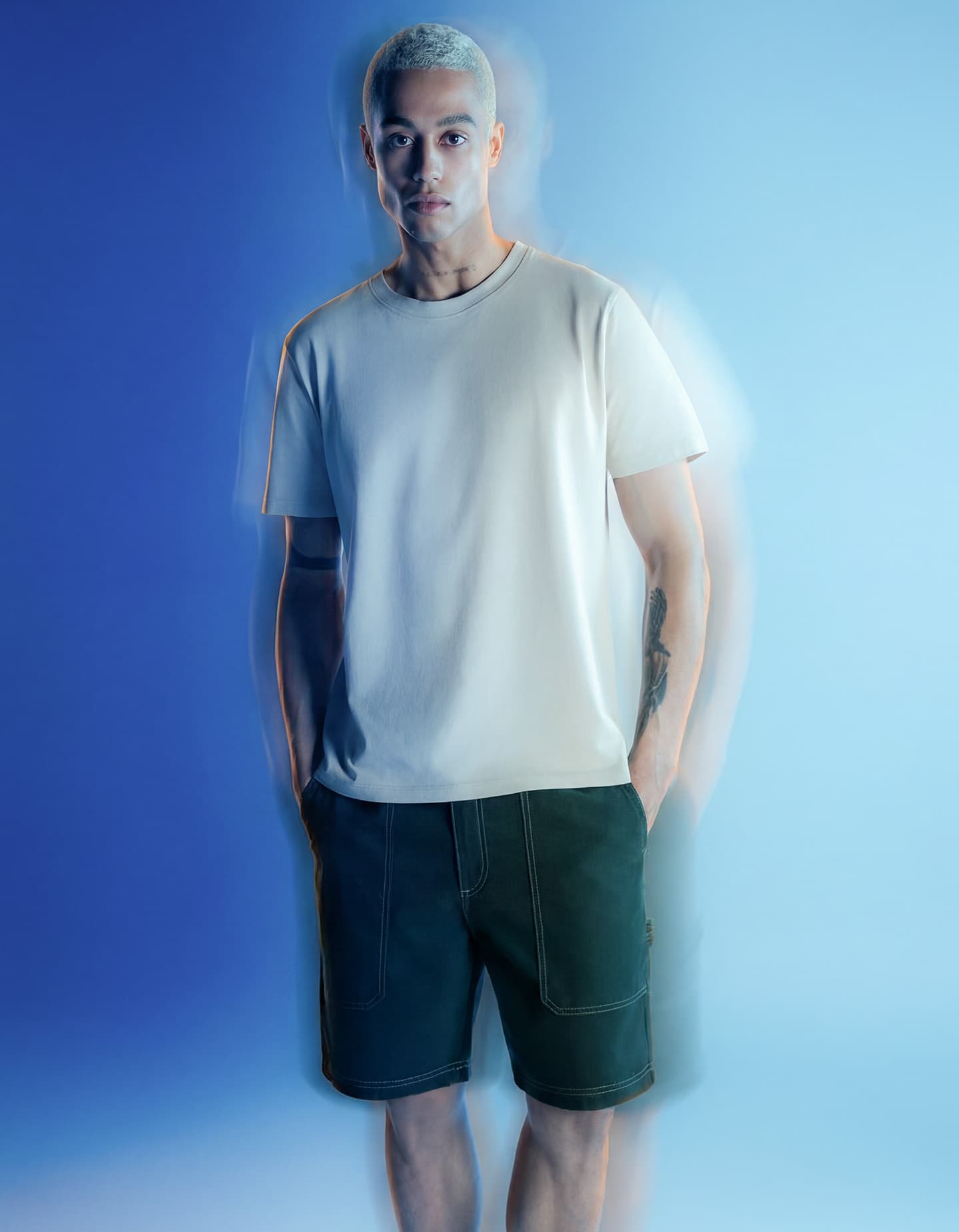 Gallery image 5